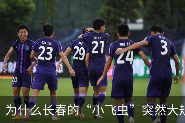 为什么长春的“小飞虫”突然大规模出动？真相曝光！