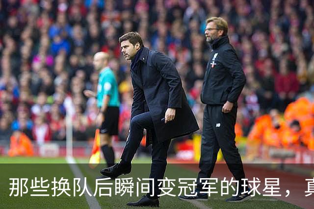 那些换队后瞬间变冠军的球星，真是太神奇了！